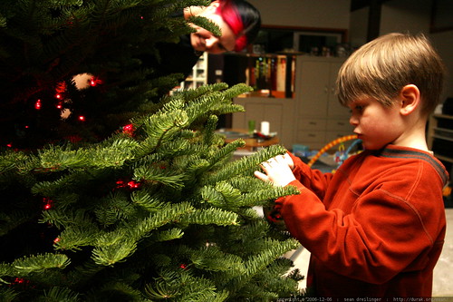 nick decorating the tree    MG 6434