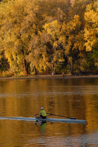 trees sunset usa fall colors leaves minnesota river boat afternoon minneapolis row parkway mississippiriver mn universityofminnesota westriverroad