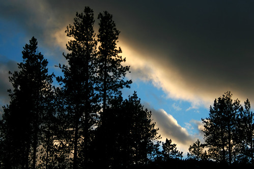 thanksgiving trees sunset sky clouds bravo montana ©tylerknottgregson
