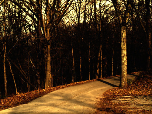 road trees nature woods dusk olympus zuiko e500 zd awesomenature