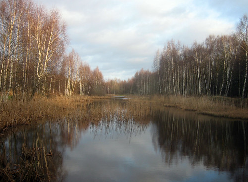 reflection nature water landscape geotagged pond view sweden haninge naturepark handen birdpark slätmossen geolon18146496 geolat59156308