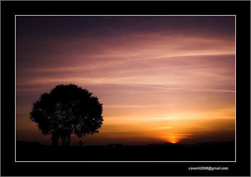 china sunset tree d50 landscapes nikond50 hebei bashang tamron2875mmf28 tamrona09