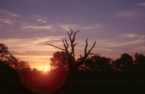 ranch trees sunset sun color tree film clouds rural 35mm landscape geotagged photography photo texas tx deadtree deadtrees copyrightwickdartsdesign wickdartsdesign wickdarts ericwaisman