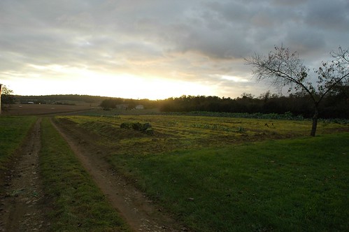 sunset field landscape fields paysage campagne charente puymasson mainzac lndsacpe