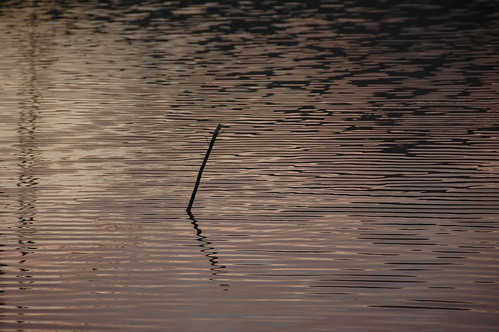 sunset lake water southafrica wiesenhof wiesenhof24