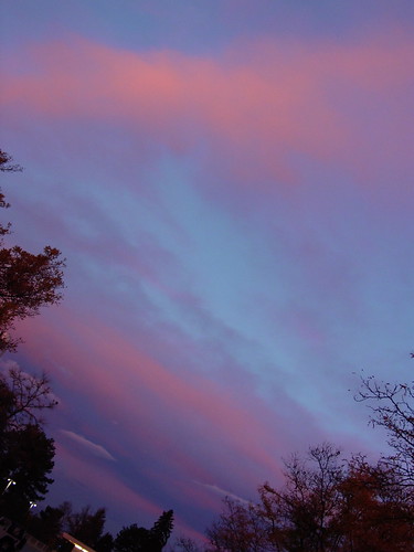 trees sky color clouds sunrise colorado denver
