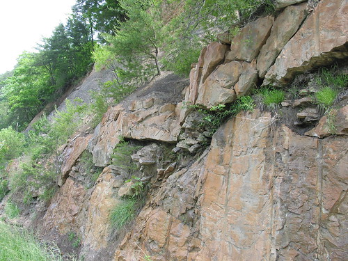 rocks geology sedimentary dunlap clastic roadcut
