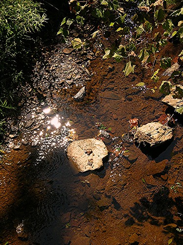 park river georgia stream etowah cartersville allatoona