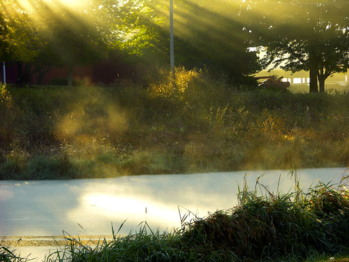sunrise pond farm steam