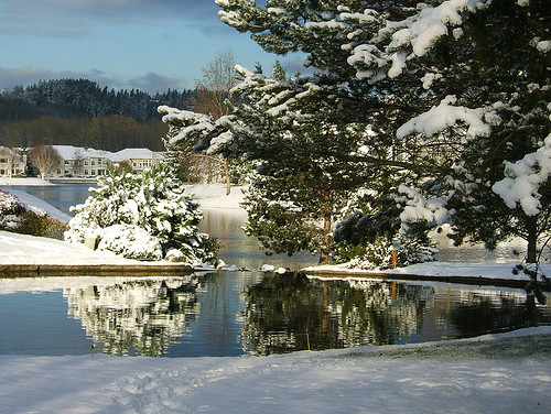 backyard kentwa pond shesnuckinfuts snow cold november2006 washingtonstateoutdoors winterreflection experiencewa coolest
