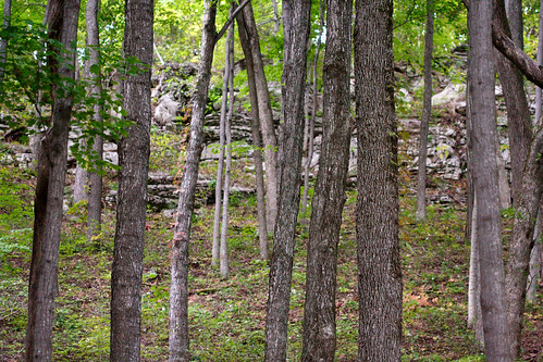 trees landscape rocks kentucky 100mm berea indianfortmountain