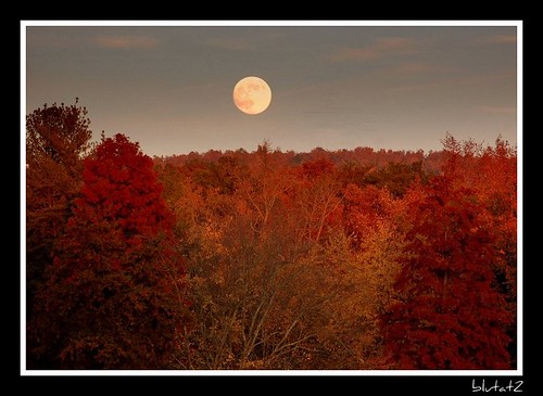 moon fall colors furman