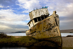 Beached at Point Reyes