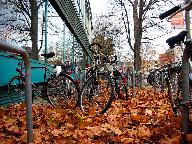 Bikes and Leaves