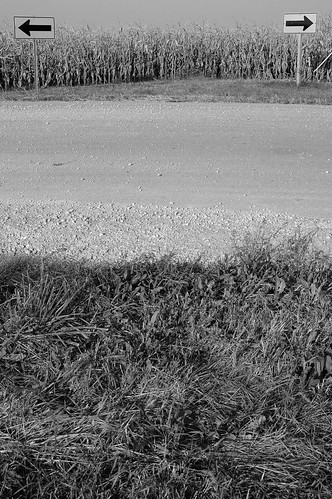road autumn blackandwhite bw fall field rural d50 geotagged illinois nikon country 2006 nikond50 arrow nikkor woodstock 28200mmf3556g geolat42320097 geolon88545341