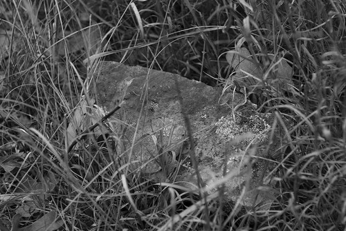 old bw house cemetery rock stone blackwhite nikon headstone graves cc