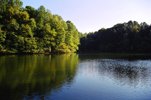 trees lebanon lake pond cornwall resevoir