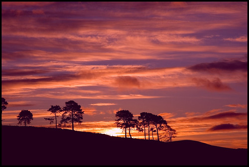 trees sky sunrise d50 scotland nikon aberdeenshire balloch alford cairnballoch stronehill