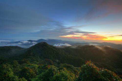 mist fog sunrise geotagged asia southeastasia hills jungle malaysia cameronhighlands hdr 4xp gunungbrinchang geo:lat=4516667 geo:lon=101383333 felixhaller funnyfelix