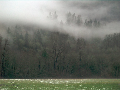trees usa cloud mist nature misty fog clouds rural landscape geotagged washington haze scenery cloudy foggy scenic unfound scene hills skagit hazy rockport 2007 davewardsmaragd stateroute20 sr20 milepost100 geo:lon=121541211 geo:lat=48494902 pss:opd=1169461192 pss:opd=1169425697