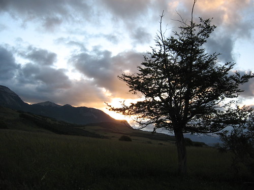 chile sunset summer patagonia mi america lenga south coyhaique nothofagus