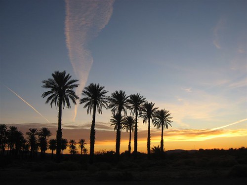 morning sky sun sunrise dawn desert palm borregosprings