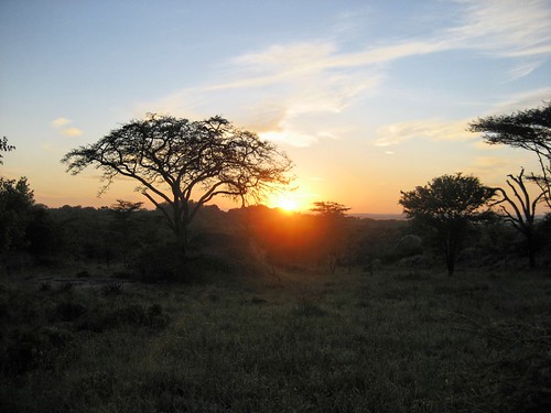 africa sunset geotagged tanzania geo:lat=222541266666865 geo:lon=349697663333339