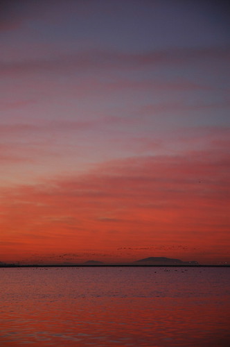 ocean red sky sunrise delta tsawwassen robertsbank mudbay deltaport
