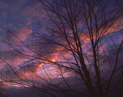 blue trees sunset orange clouds fire dreams silohuette
