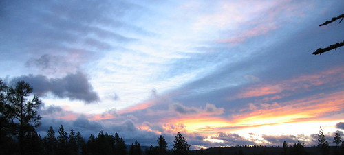 trees sky tree clouds sunrise mackerel windy chattaroy duringawindstorm