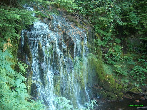 green oregon waterfall cruzatte