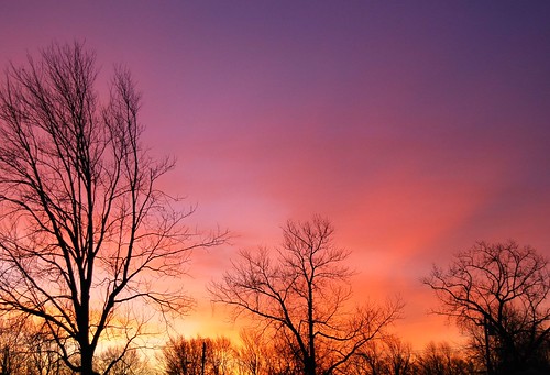 trees usa beautiful sunrise wow spectacular landscape geotagged us newjersey amazing nikon unitedstates gorgeous awesome great nj 2006 stunning monmouthcounty bayshore unionbeach views200 d80 neloesteves zip07735 nikond80 geo:lat=40447167 geo:lon=74162188