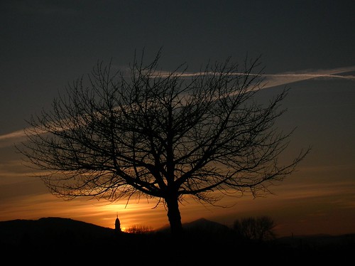 light sunset tree nature landscapes loneliness colours mordor instantfave titanica trichiana
