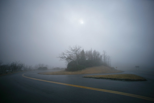 road trees mist fog landscape nebel north scenic carolina