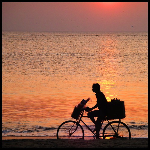sunset vacation india beach silhouette geotagged asia dusk kerala 5f geo:lat=10420329 geo:lon=76081631 angkorphotofestivalcom