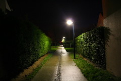 Night Path