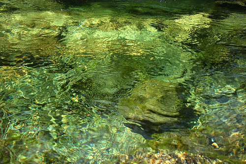 summer canada green nature water pool catchycolors bc britishcolumbia turquoise 2006 surface vancouverisland ripples westcoast kennedyriver uclueletbirthday