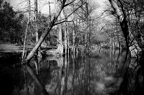 trees blackandwhite bw film landscape prime nikon texas kodak iso400 f16 desaturated f3 nikkor portra vc nikonf3 bluehole trespassing 35mmf2ais wimberleytexas