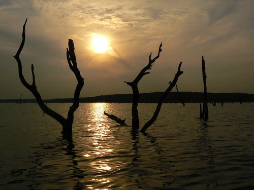 trees sunset lake oklahoma landscape gold scenic paddling okmulgee drippingspringslake