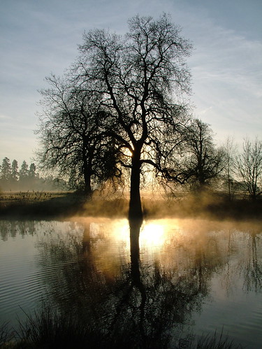 uk england mist lake topf25 water topv111 1025fav 510fav sunrise dawn britain buckinghamshire slough kevday langley countrypark