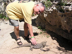 me and Parque Josone iguana