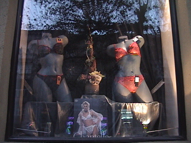 Women Underwear Shop