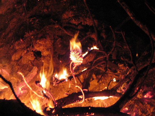 nature landscapes bonfire specialeffects magnesium