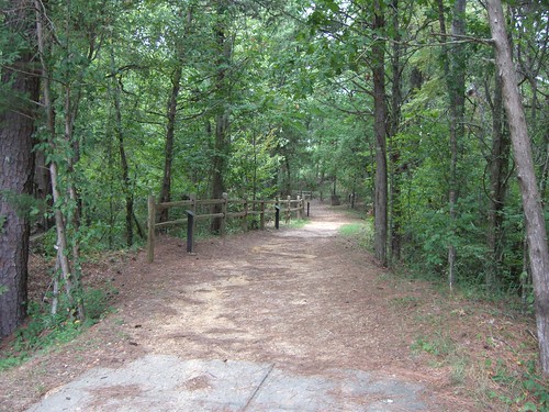 usa forest mississippi trail parkway natchez rockysprings