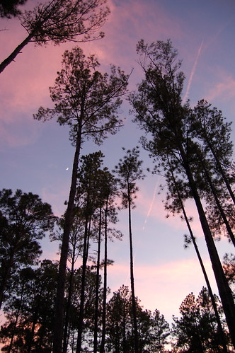 trees sunset sky clouds ga d50 georgia nikon dusk south statesboro christmasday deepsouth