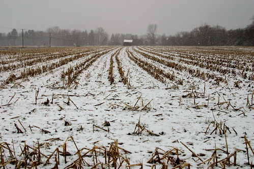snow ny field grey ithaca