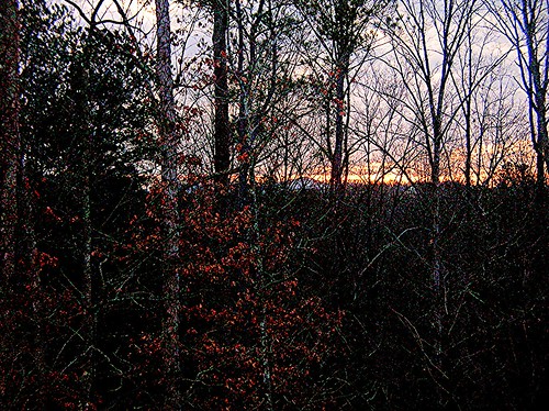 trees sky sun mountain clouds sunrise georgia sunday woodstock sweatmountain