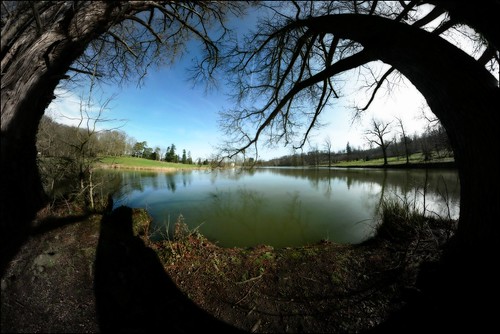 trees lake tree monster campus pond branches horns gimp explore projection orton hec stereographic hugin autopano enblend interestingness170 i500