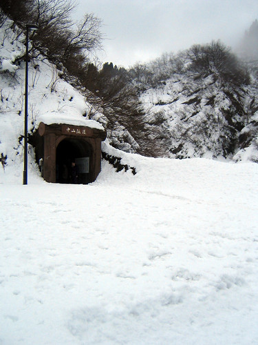winter snow japan geotagged niigata yamakoshi geo:lat=37309867 geo:lon=138908858