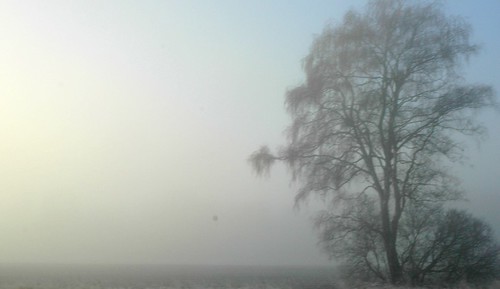 oneaday fog sunrise geotagged dawn haze january 2007 geolat48290582 geolon11635728